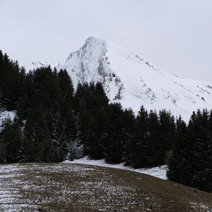 Превью обои гора, снег, деревья, пейзаж, склон, зима