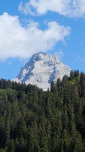Превью обои гора, снег, лес, деревья, пейзаж, природа
