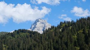 Превью обои гора, снег, лес, деревья, пейзаж, природа