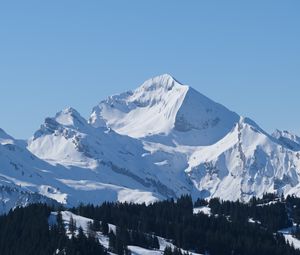 Превью обои гора, снег, склон, деревья, природа, пейзаж