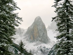 Превью обои гора, снег, ветки, холм