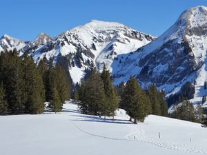 Превью обои гора, снег, зима, елки, природа