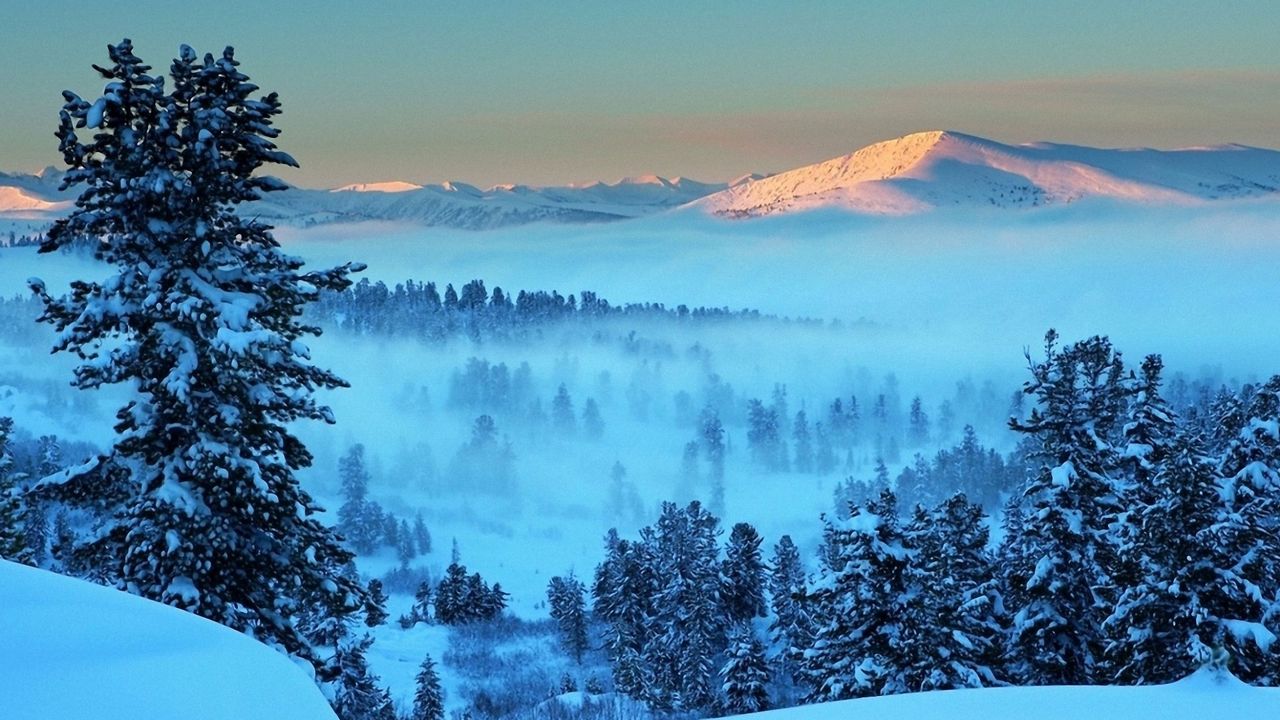 Обои гора, свет, снег, туман, ели, деревья, даль, рассвет, утро, пробуждение, пейзаж, тишина