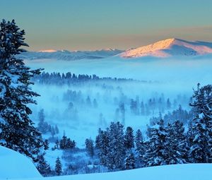 Превью обои гора, свет, снег, туман, ели, деревья, даль, рассвет, утро, пробуждение, пейзаж, тишина