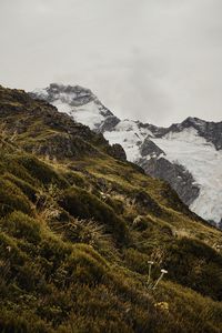 Превью обои гора, трава, снег, холм