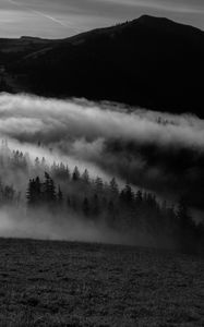 Превью обои гора, туман, чб, деревья, холмы