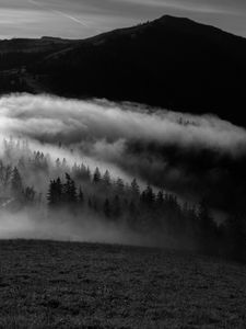 Превью обои гора, туман, чб, деревья, холмы