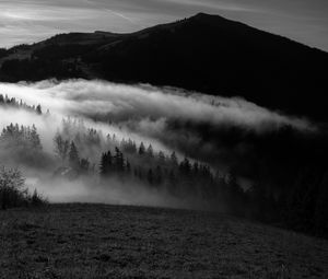 Превью обои гора, туман, чб, деревья, холмы