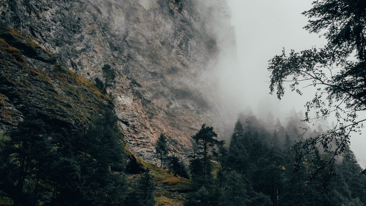 Обои гора, туман, деревья, склон, швейцария