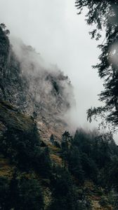 Превью обои гора, туман, деревья, склон, швейцария