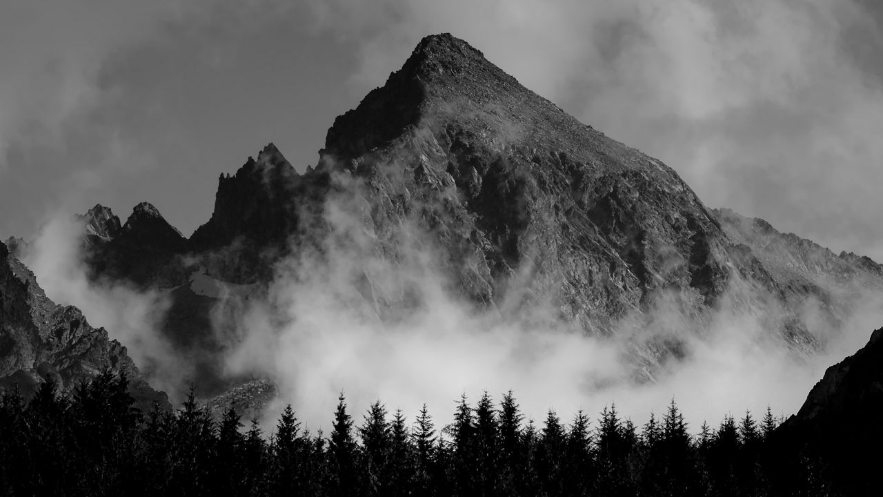 Обои гора, туман, деревья, черно-белый
