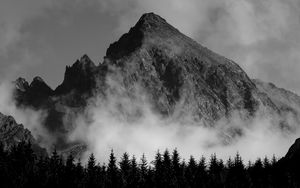 Превью обои гора, туман, деревья, черно-белый