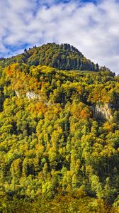 Превью обои гора, вершина, деревья, осень, пейзаж