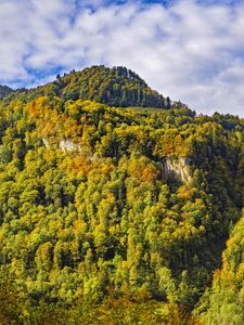 Превью обои гора, вершина, деревья, осень, пейзаж