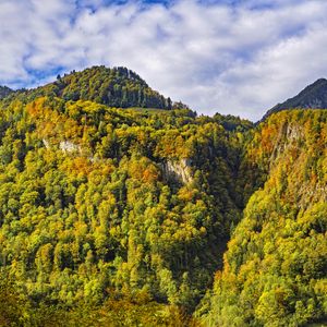 Превью обои гора, вершина, деревья, осень, пейзаж