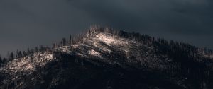 Превью обои гора, вершина, деревья, мрак, темный