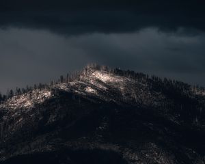Превью обои гора, вершина, деревья, мрак, темный