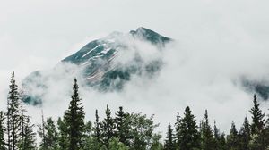 Превью обои гора, вершина, деревья, облака, природа