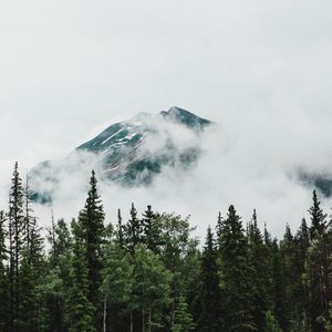 Превью обои гора, вершина, деревья, облака, природа
