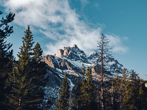 Превью обои гора, вершина, деревья, облако, природа