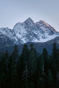 Превью обои гора, вершина, деревья, сосны, пейзаж