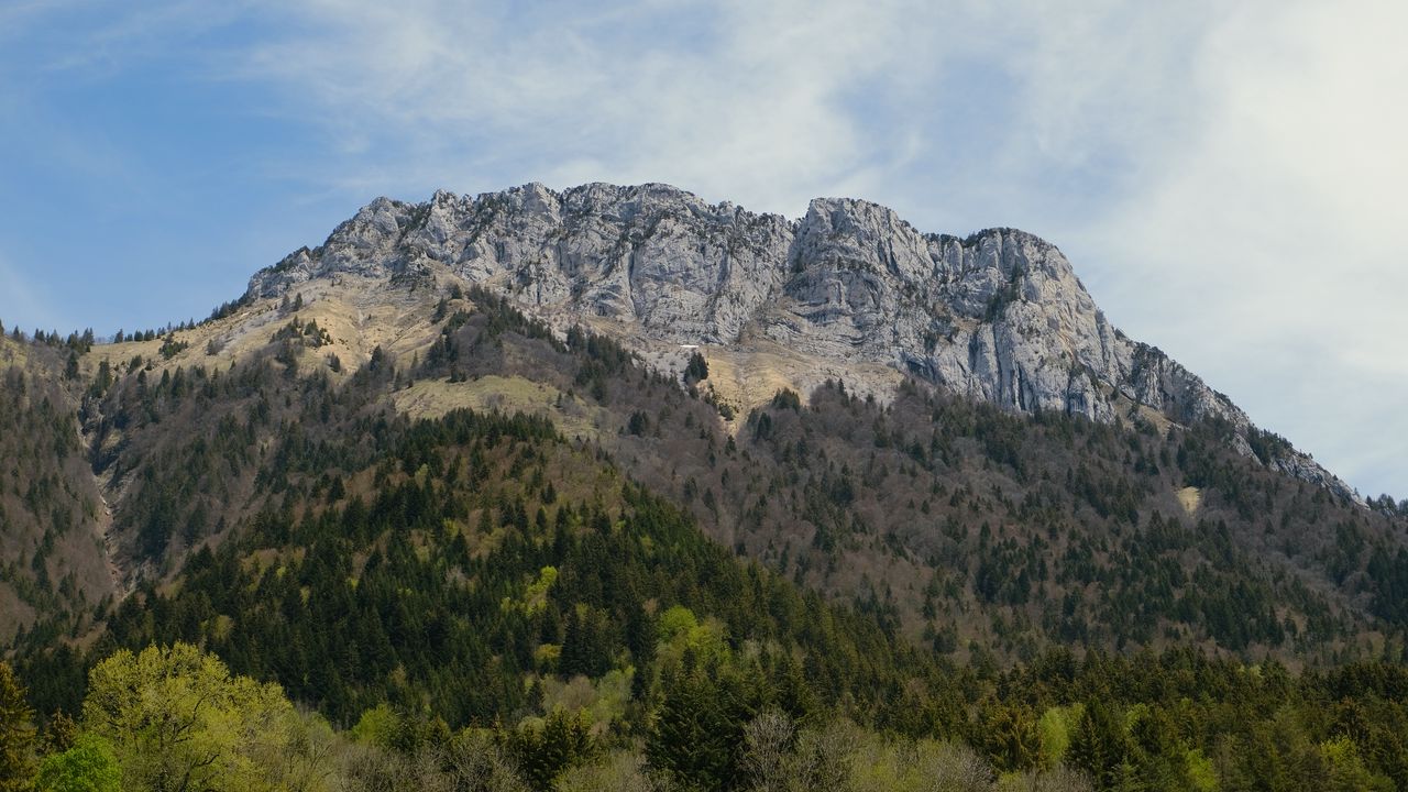 Обои гора, вершина, деревья, лес, пейзаж