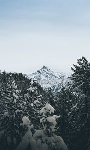 Превью обои гора, вершина, деревья, снег, пейзаж, зима