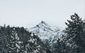 Превью обои гора, вершина, деревья, снег, пейзаж, зима