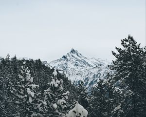 Превью обои гора, вершина, деревья, снег, пейзаж, зима