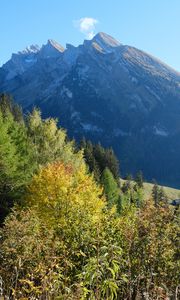 Превью обои гора, вершина, деревья, природа, пейзаж, вид
