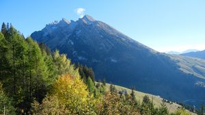 Превью обои гора, вершина, деревья, природа, пейзаж, вид