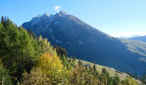 Превью обои гора, вершина, деревья, природа, пейзаж, вид