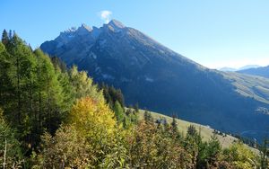 Превью обои гора, вершина, деревья, природа, пейзаж, вид