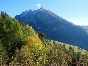 Превью обои гора, вершина, деревья, природа, пейзаж, вид