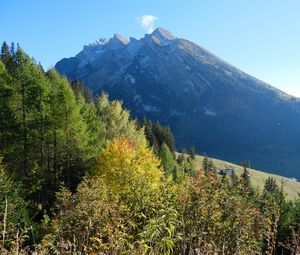 Превью обои гора, вершина, деревья, природа, пейзаж, вид