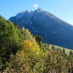 Превью обои гора, вершина, деревья, природа, пейзаж, вид