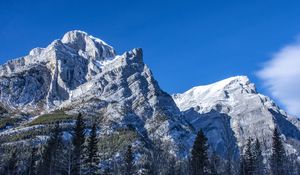 Превью обои гора, вершина, деревья, пейзаж, склон, вид