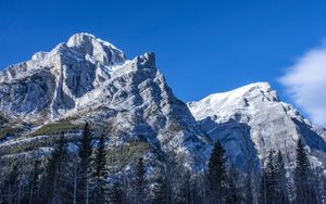 Превью обои гора, вершина, деревья, пейзаж, склон, вид