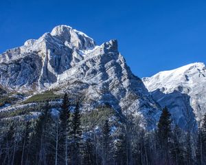 Превью обои гора, вершина, деревья, пейзаж, склон, вид