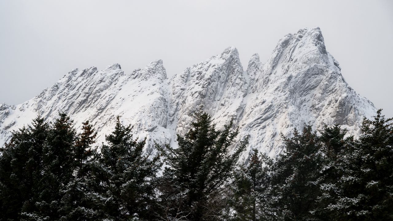 Обои гора, вершина, деревья, верхушки, снег