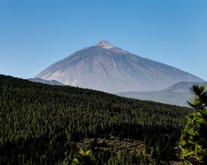 Превью обои гора, вершина, лес, склон, деревья