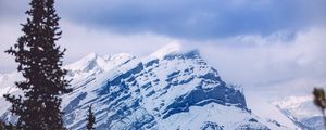 Превью обои гора, вершина, лес, ель, заснеженный