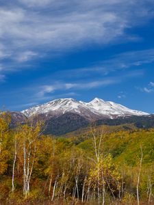 Превью обои гора, вершина, лес, пейзаж