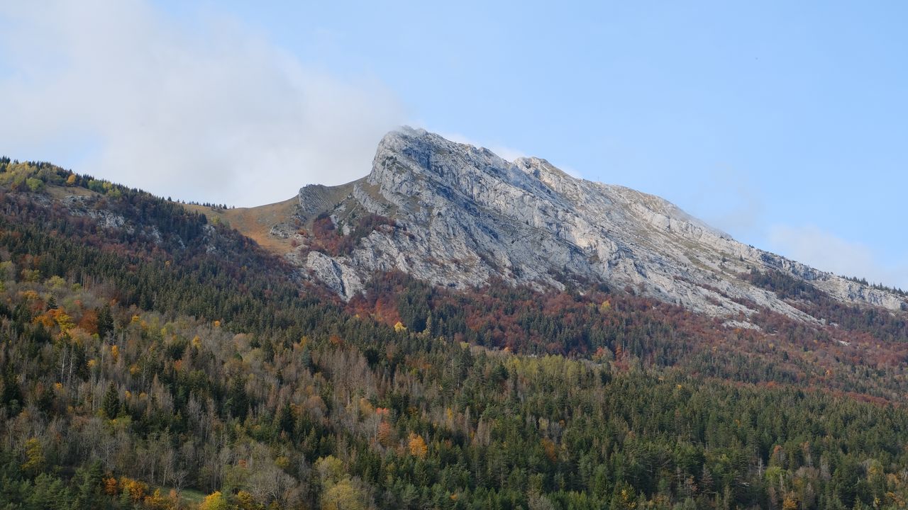 Обои гора, вершина, лес, деревья, склон