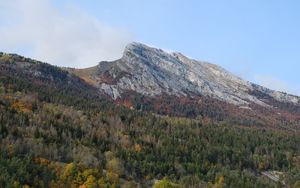 Превью обои гора, вершина, лес, деревья, склон