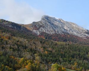 Превью обои гора, вершина, лес, деревья, склон