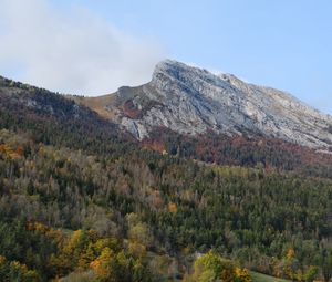 Превью обои гора, вершина, лес, деревья, склон