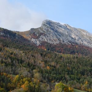 Превью обои гора, вершина, лес, деревья, склон
