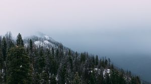 Превью обои гора, вершина, лес, туман, снег, деревья