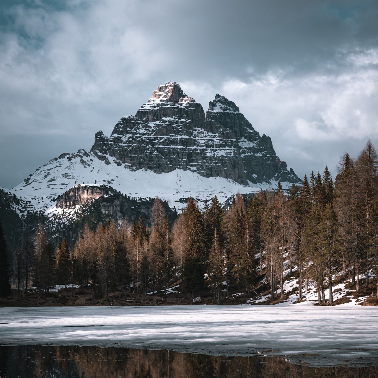 Гора 6000 метров. Твин пикс лес. Forest Peak.